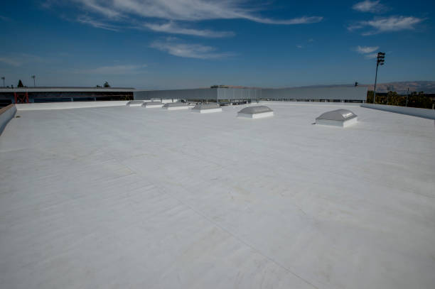 Best Roof Ventilation Installation  in Lakeview, MI