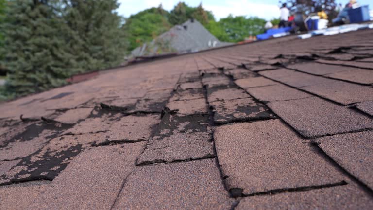 Best Rubber Roofing (EPDM, TPO)  in Lakeview, MI