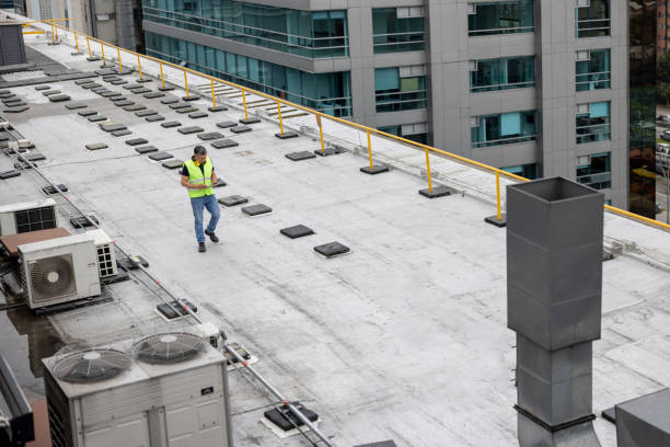Best Roof Insulation Installation  in Lakeview, MI
