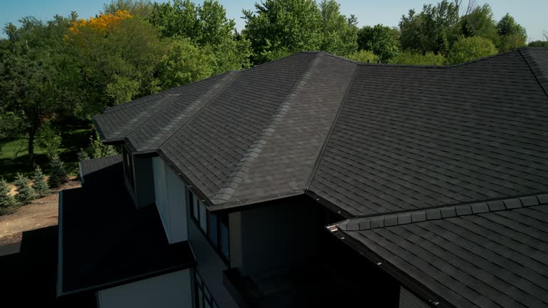 Best Gutter Replacement  in Lakeview, MI