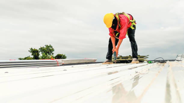 Best Asphalt Shingle Roofing  in Lakeview, MI