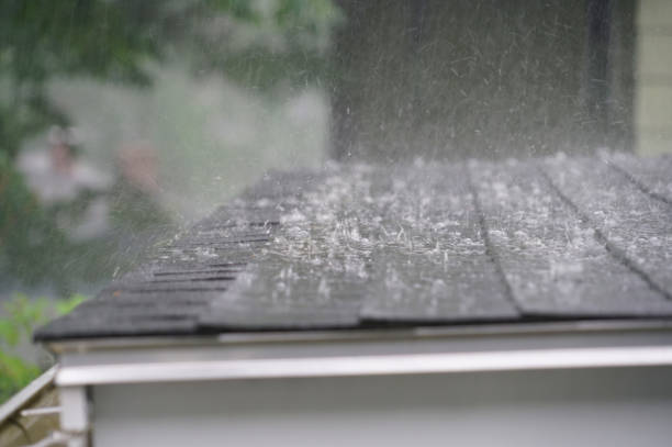 Best Tile Roofing Installation  in Lakeview, MI