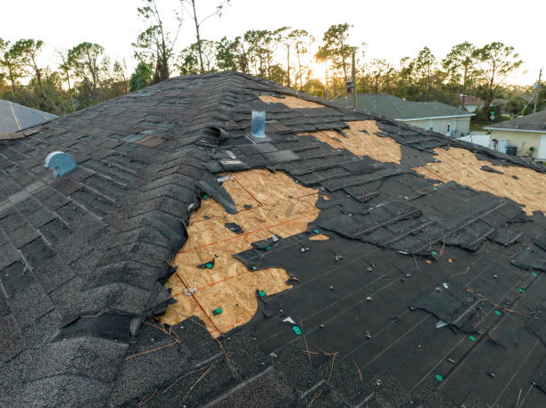 Best 4 Ply Roofing  in Lakeview, MI