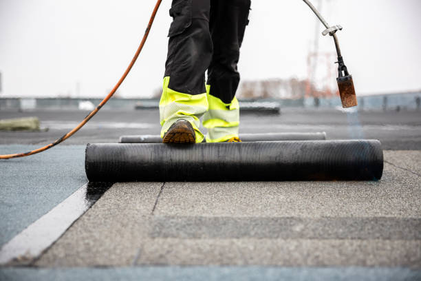 Best Metal Roofing Installation  in Lakeview, MI