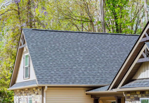 Best Rubber Roofing (EPDM, TPO)  in Lakeview, MI